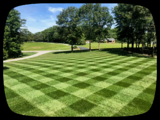 Lawn mowing stripes