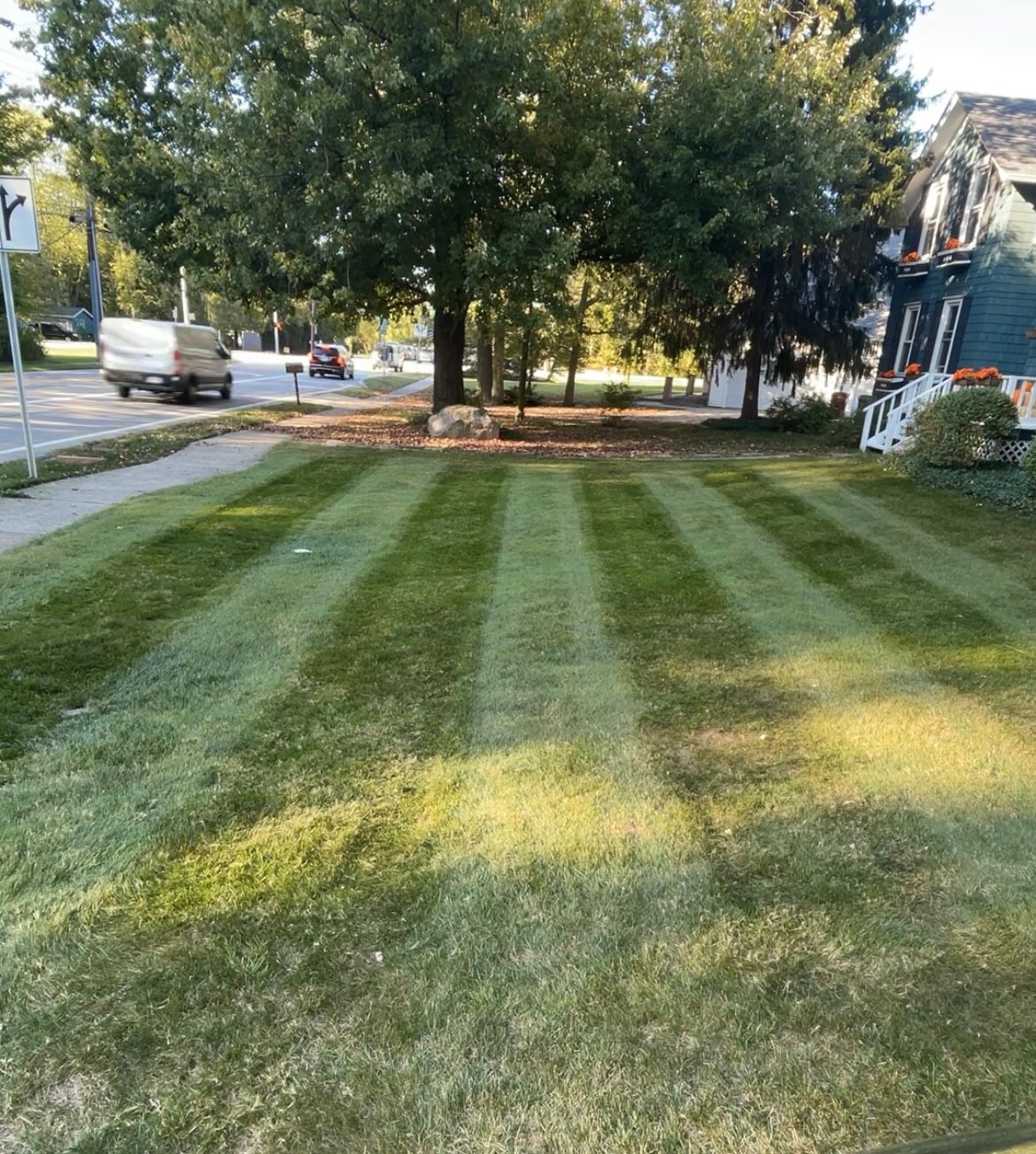 service single images