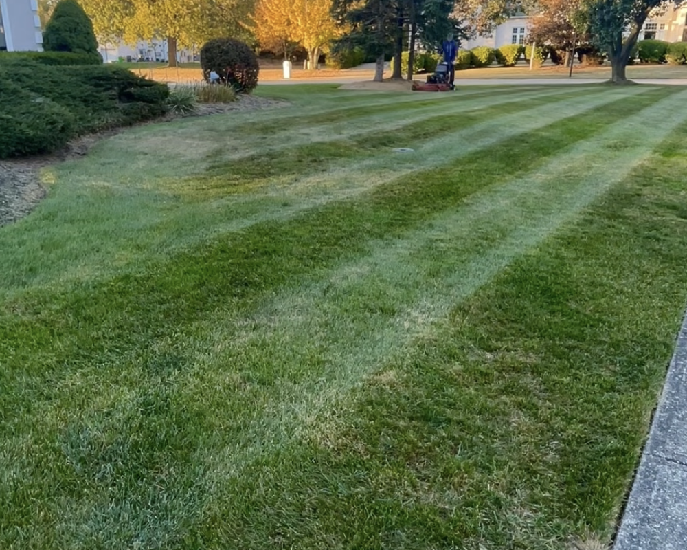 service single images