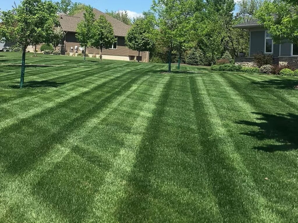 Lawn mowing rocky river ohio