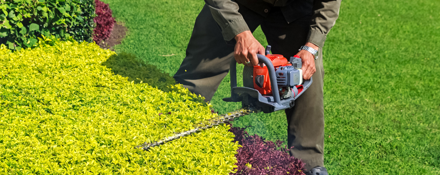 bush trimming westlake ohio